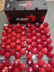 CLASS 1 Export Quality FLASH GALA Apples for sale!! NEW CROPS in South Africa! 100% Organic - Image 5