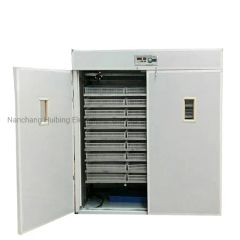 Manufacturing Automatic Poultry Quail Egg Incubator and Hatcher - Image 5