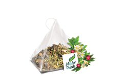 Echium Mix - Image 2