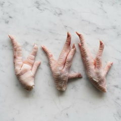 Frozen Chicken Feet Wholesale Halal Chicken Paws Export Quality Poultry Feet in Bulk - Image 4