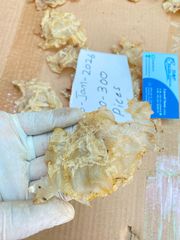 Cat Fish Maw ( Dry ) Style Open & Close Weight (kg) 20 kgs box Certification ISO 22000 Key Benefit Rich Collagen - Image 3