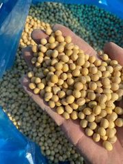 Premium Non-GMO Soybean-High Quality Organic and safe Soy Beans For Food and Feed - Image 3