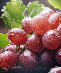 Grapes – product photo 1, product detail gallery