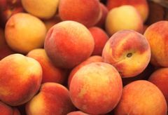 CLASS 1 Export Quality Yellow Flesh Peaches from South Africa! NEW CROPS Excellent packing; – product photo 1, product detail gallery