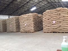 Robusta coffee beans – product photo 2, product detail gallery