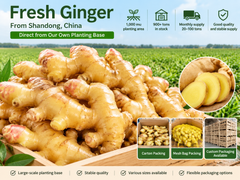 fresh ginger – product photo 1, product detail gallery