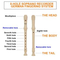 Foska Kids Musical Recorder Flute for Fun Learning ODM Welcome OEM Welcome MOQ 1 Carton Material ABS Length 33.1cm Holes 8 - Image 3