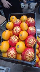 Navel Orange - Image 3