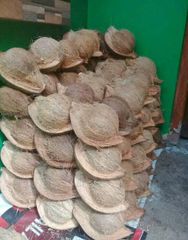 Coconut old - Image 2