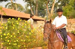Horse Riding - Image 1