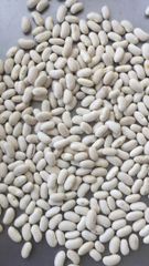 Butter Beans/ White Kidney Beans – product photo 2, product detail gallery