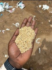 White Premium Sesame – product photo 1, product detail gallery