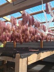Artisanal Shade-Dried Purple Sea Moss - Image 1