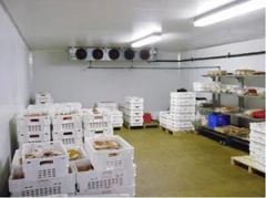 Fruit Fresh Cold Room Cold Storage - Image 1