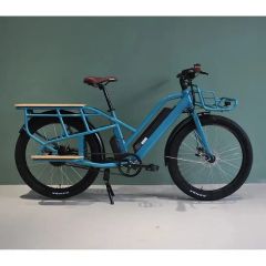 Adult Fashion Color Cargo Bike 500W Rear Hub Motor - Image 3