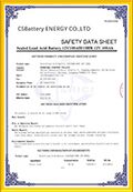 MSDS 2023 certificate from CSSUN Energy Co., Ltd