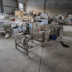Automatic Food Processing Line Fruit Vegetable Bubble Cleaning Machine - Image 4