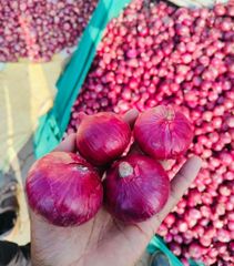 Fresh Onion – product photo 2, product detail gallery