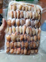 Mud crab meat Texture Firm Color White And Red Form Crab Meat, Claws Flavor Sweet, Succulent Packaging Various Sizes Place of Origin Indonesia - Image 1