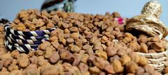 2024 New Crop Ethiopian Origin Desi Chickpeas Premium Quality Bulk Dried Machine Cleaned and Polished Kabuli Type - Image 5