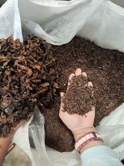 Dried Sargassum Raw & Chop - Image 2