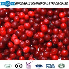 Competitive Price Bulk Frozen IQF Fresh Fruits Red Lingonberry - Image 2
