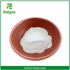 Sodium Hyaluronate Foods Additive Color White State Powder Origin China EINECS 618-620-0 Trademark Ralgae HS Code - Image 4