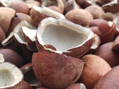 Dry Half Coconut – product photo 5, product detail gallery