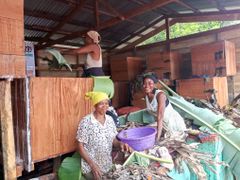 Premium Cocoa Beans – Kisangani Region (Tshopo Province) – product photo 4, product detail gallery