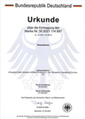 Our certificates certificate of SHANGHAI TUYOUDA AUTO EXPORT CO., LTD. – certificate photo, supplier certificates section