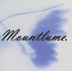 Deqing Mountlume International Trading Co., Ltd.
