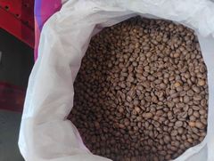 Coffee Beans Sourced from High Altitude Farms for Superior Taste and Consistent Quality - Image 1