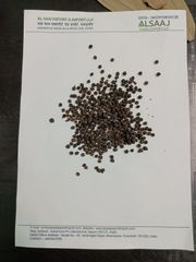 Black Pepper – product photo 2, product detail gallery