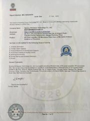 BV certificate certificate from Nanjing Shinewave Technology Co., Ltd.