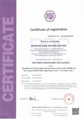 ISO90001 certificate from Taizhou Dongyi Electric Motor Co., Ltd.