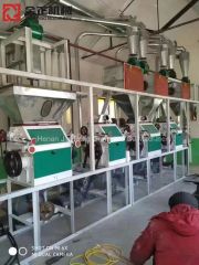 10 - 500 Ton Tpd Full Set Wheat Rice Beans Flour Processing Line White Whole Wheat Grinder Flour Mill Wheat Flour Milling Machine - Image 4