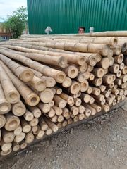 Bamboo products decorative bamboo poles bamboo raw materials from 99 Gold Data (84 327076054) - Image 3