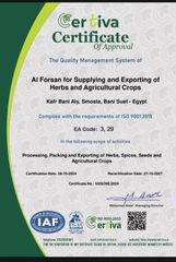 iso9001 certificate from El-Forsan Co., Egypt