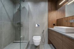 Bathroom Renovation Service - Image 3