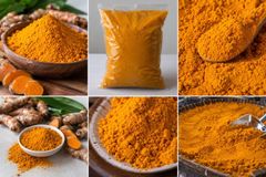 Pure Turmeric Powder (Curcuma longa) – Bulk Wholesale Supply - Image 4