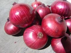 Red Onion Wholesale With Premium Quality for Export – product photo 3, product detail gallery