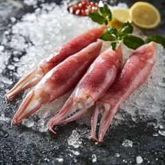High Quality Fresh Frozen Illex Squid at Whole Sales Price. – product photo 4, product detail gallery
