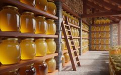 Wholesale Supplier of Pure Honey | 100% Natural and Organic Raw Honey from the Honeycomb” Organic - Image 2