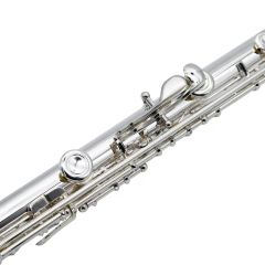Curved Flute /Beginner Model /Cheap Musical Instrument - Image 6