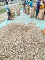 Raw Cashew Nuts (RCN) - Ivory Coast Origin - KOR 48 lbs min - FOB Abidjan – product photo 2, product detail gallery