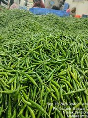 Green chilli - Image 2