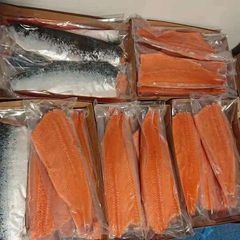 Frozen salmon fillet Glaze 0-10% Place Of Origin Eu Color Red Color 13+ Shelf Life 24 Months Minimum Order Quantity 1*20’ - Image 1