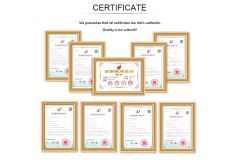 certificate certificate from Zhenjiang Zhendi Electric Technology Co., Ltd