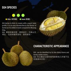 Fresh Premium Durian D24 Malaysia (Whole Fruit) Grade A Style Fresh Type DURIAN Weight (kg) 2 Certification GAP Cultivation Type - Image 4