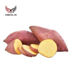 Dried Sweet Potato Natural Taste Stick Fresh Instant Use Snack Food AD GMO Open Air Bulk Vacuum Pack Dried Fruit - Image 6